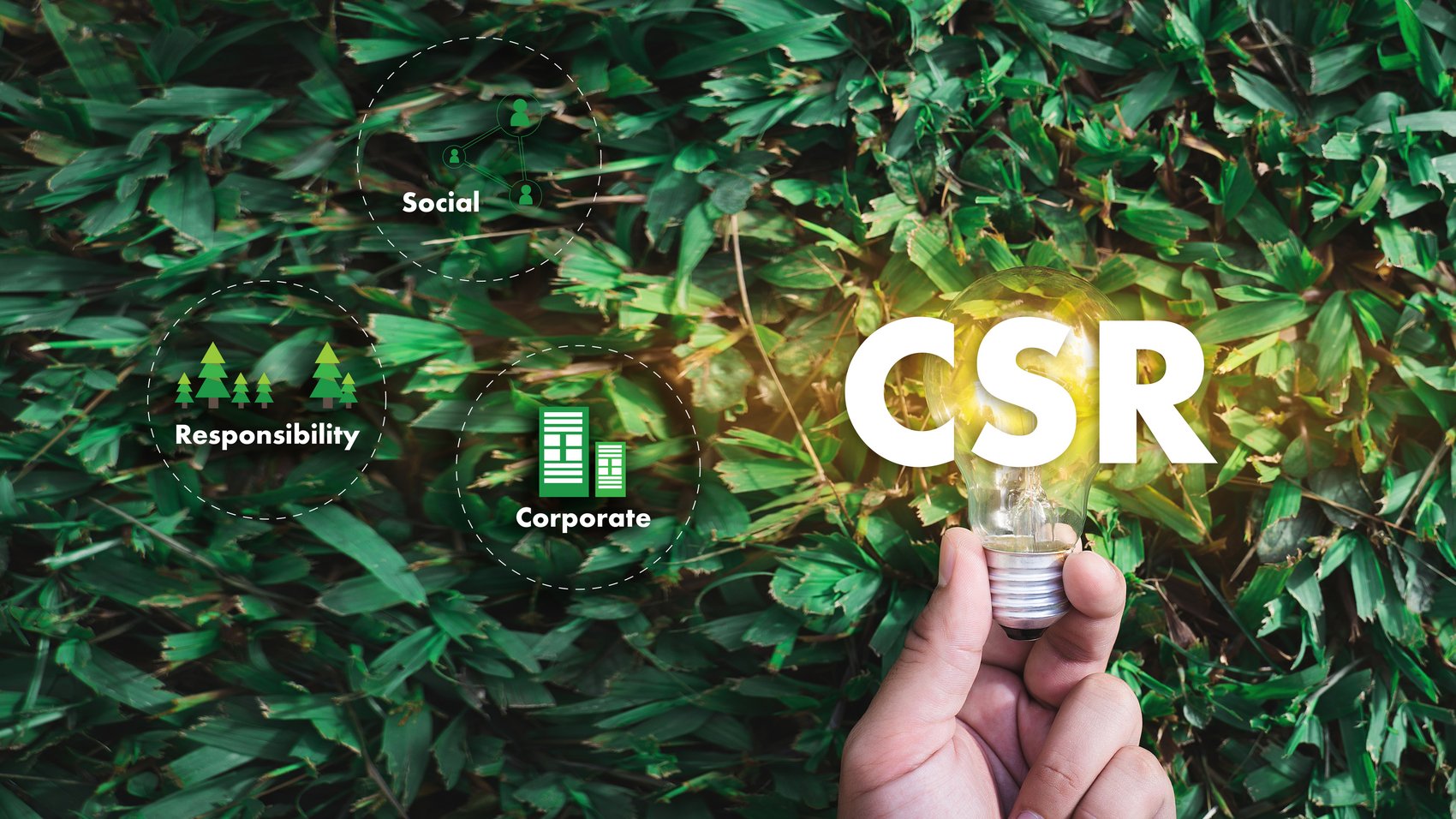 Hand hält einer Glühbirne mit der Aufschrift CSR